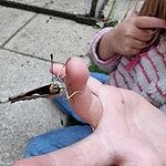 Image of Review by Catriona W. on 16 Dec 2021 number 2