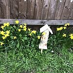 Image of Review by Collette S. on 21 Mar 2022 number 1