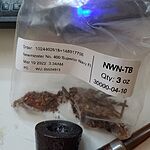 Image of Review by Anthony M. on 22 Mar 2022 number 1