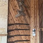 Image of Review by Bruce Y. on  6 Apr 2022 number 1