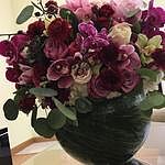 Image of Review by Sasha on 11 Apr 2022 number 1