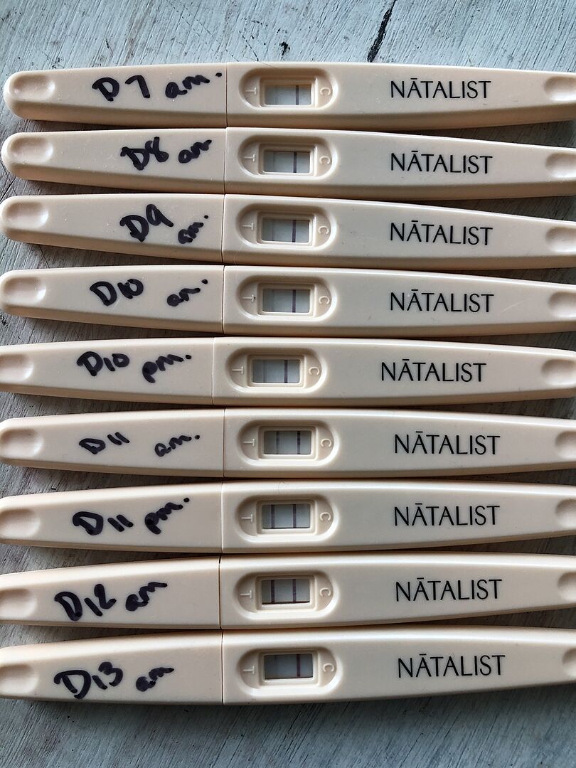 Ovulation Predictor Kit Ovulation Strips, Cup & Tracker Natalist