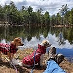 Image of Review by Margaret B. on 25 Apr 2022 number 1