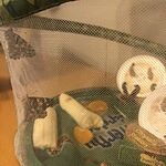 Image of Review by Claire R. on  7 May 2022 number 1