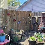 Image of Review by judy s. on  7 May 2022 number 1
