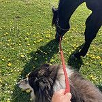 Image of Review by Ann- Z. on 10 May 2022 number 1