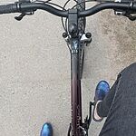 Image of Review by Sara P. on 11 May 2022 number 1