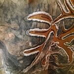 Image of Review by Alisha D. on 18 May 2022 number 1
