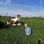 Image of Review by A. D. on 19 May 2022 number 1