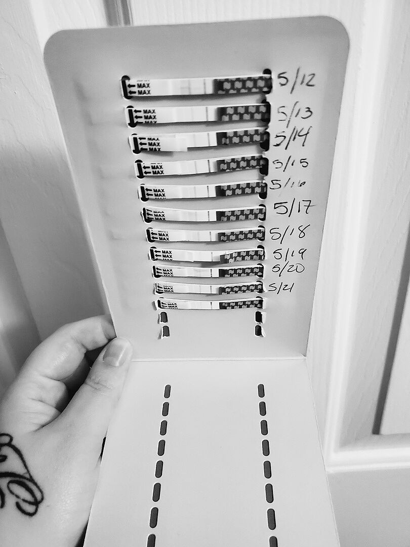 Ovulation Predictor Kit Ovulation Strips, Cup & Tracker Natalist