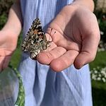 Image of Review by Paul F. on 26 May 2022 number 2