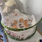 Image of Review by Paul F. on 26 May 2022 number 5