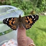 Image of Review by Paul F. on 26 May 2022 number 4