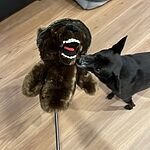 Image of Review by Reece T. on 30 May 2022 number 1