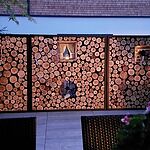 Image of Review by Alexandra S. on  8 Jun 2022 number 1