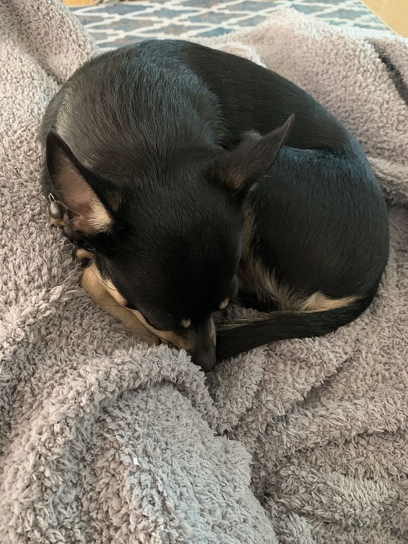 COZY BAMBONI ROBES Saranoni