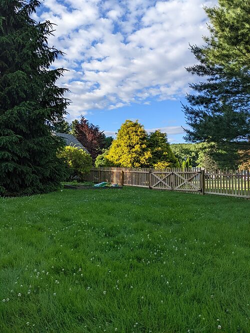 A lawn in CT