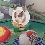 Image of Review by Chrissie R. on 21 Jun 2022 number 3