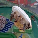 Image of Review by Chrissie R. on 21 Jun 2022 number 2