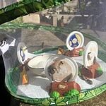 Image of Review by Phillip j. on 24 Jun 2022 number 1