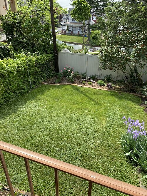 A lawn in Easton, PA