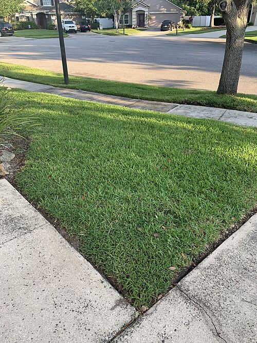 A lawn in Ocoee, FL