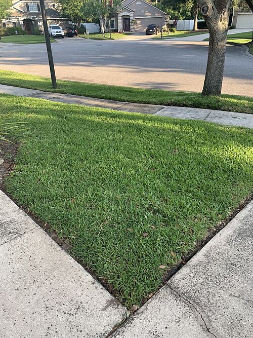 A lawn in Ocoee, FL
