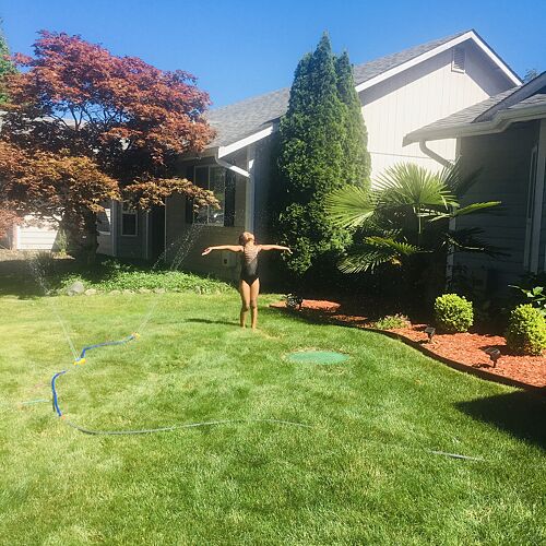 A lawn in Puyallup, WA