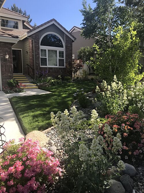 A lawn in Reno, NV