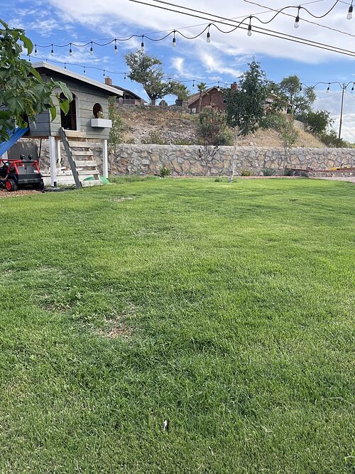 A lawn in El Paso, TX