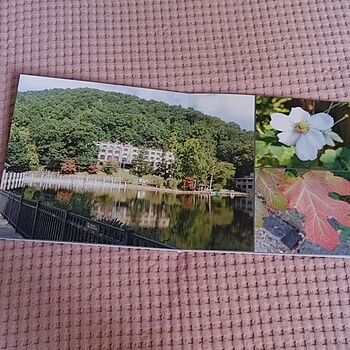 Photo of review by Jamie on Jun 30, 2022 #2