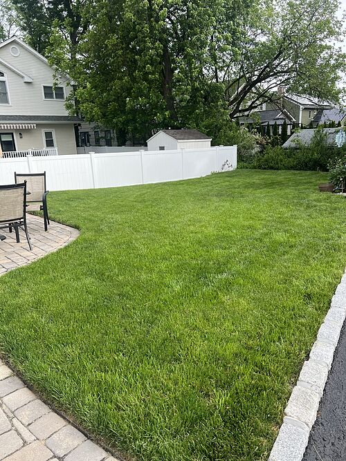 A lawn in Cranford, NJ