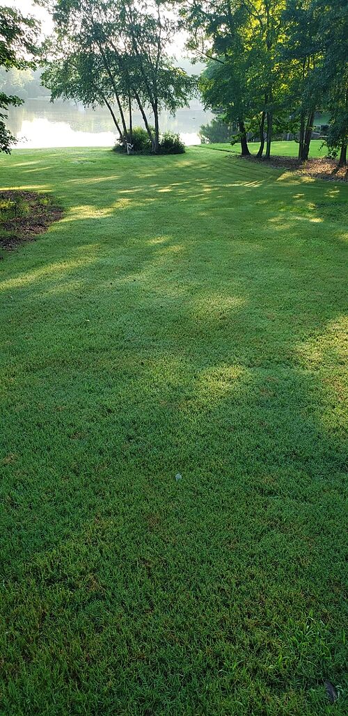 A lawn in Newnan, GA