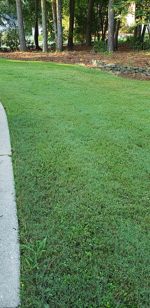 A lawn in Newnan, GA