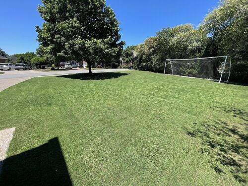 A lawn in Nashville, TN