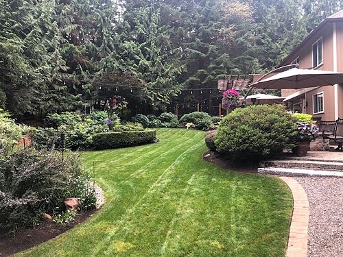 A lawn in Woodinville, WA