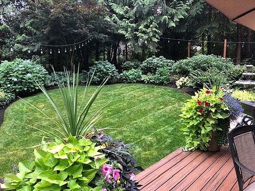 A lawn in Woodinville, WA