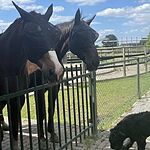 Image of Review by Marjo W. on  6 Jul 2022 number 1