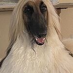 Image of Review by Mary T. on  3 Oct 2020 number 1