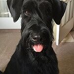 Image of Review by Cathy T. on 28 Jan 2021 number 1