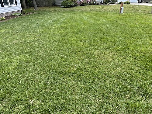 A lawn in Chesapeake, VA