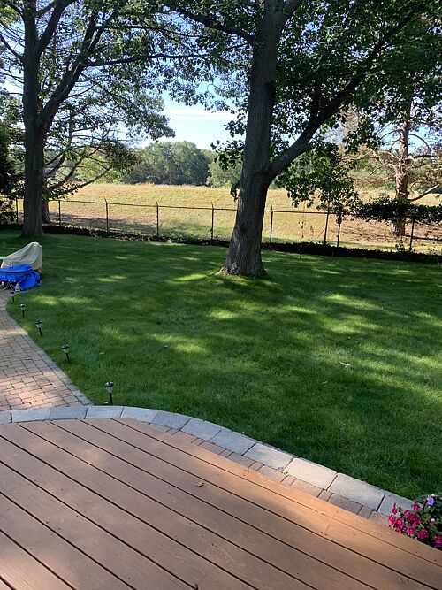 A lawn in Holland, MI