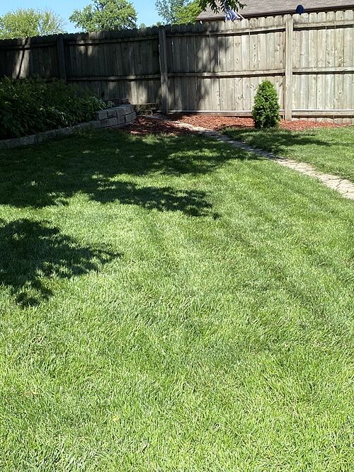 A lawn in Oshkosh, WI