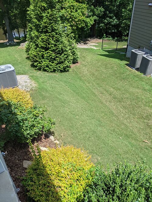 A lawn in Wake Forest, NC