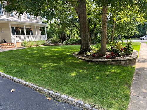 A lawn in Brick, NJ