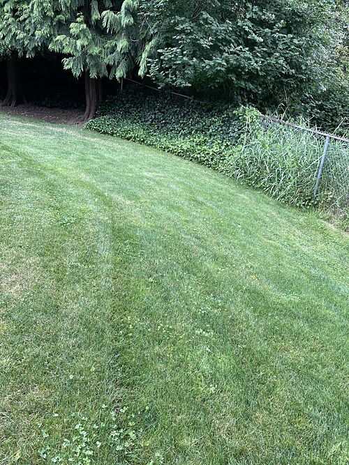 A lawn in Washington