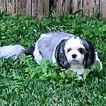 Image of Review by Shirley H. on 17 Jul 2022 number 1