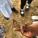 Image of Review by Peter R. on 22 Jul 2022 number 2