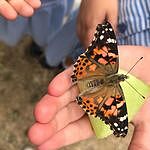 Image of Review by Peter R. on 22 Jul 2022 number 1