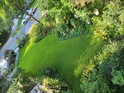 A lawn in Atlanta, GA